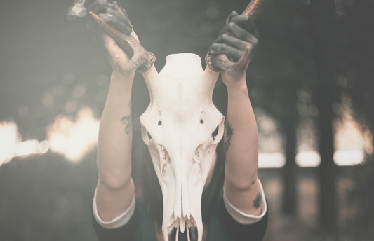 A skull from an animal sacrifice being held high.