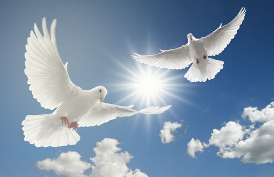 Holy Spirit Doves flying in the sky.