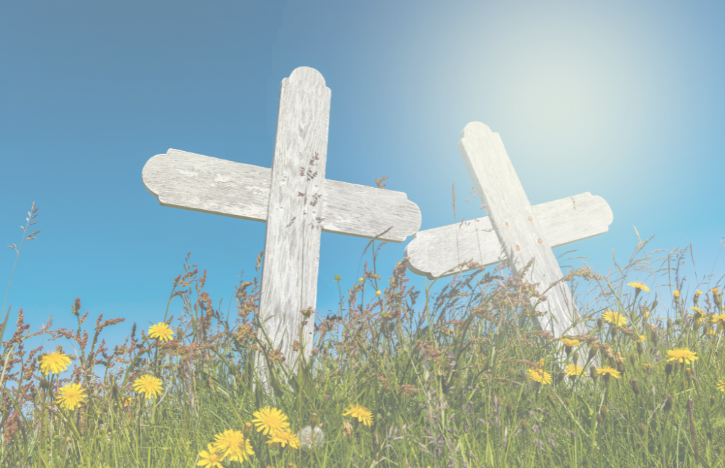 Two Crosses in a Field.